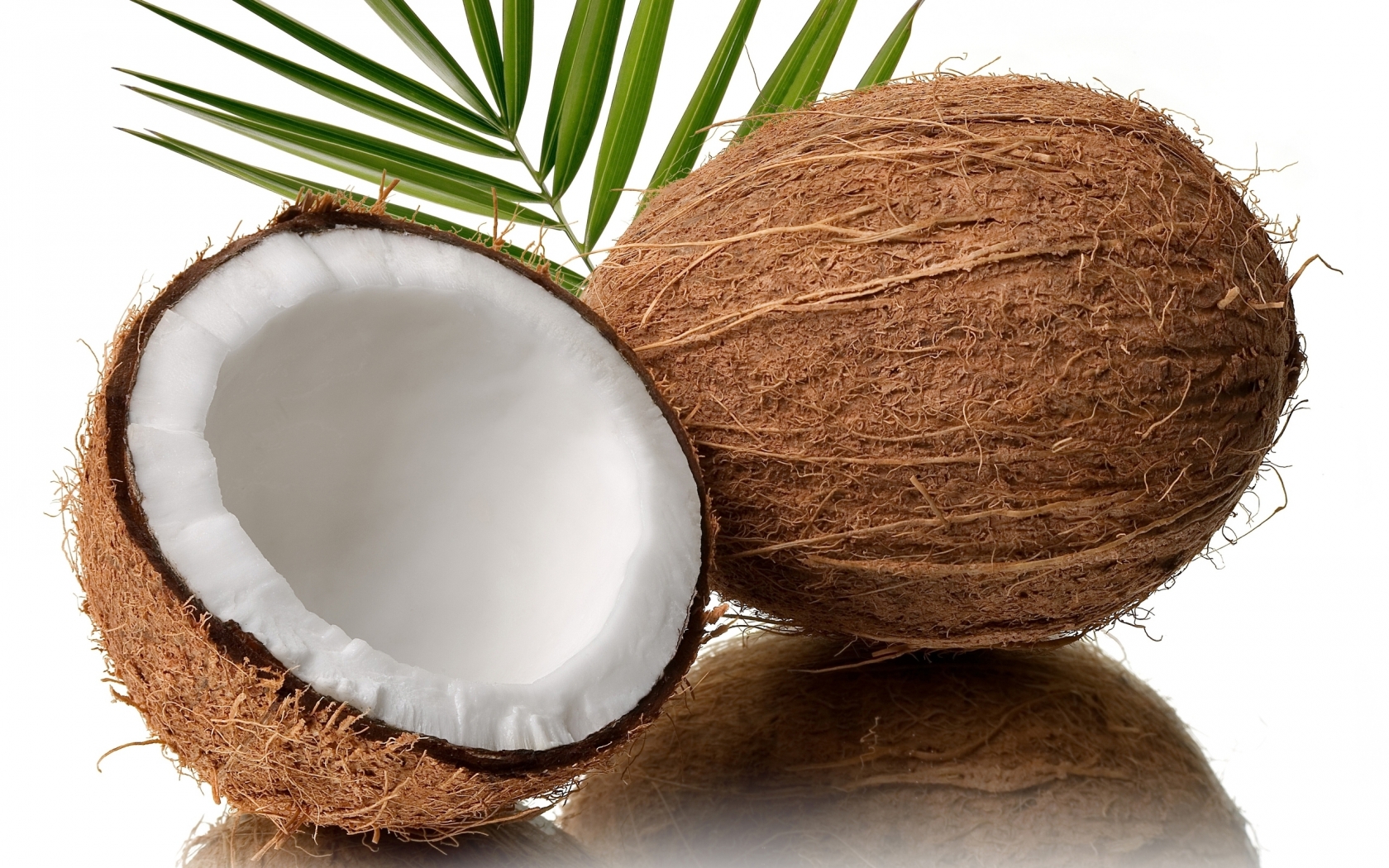 Fresh Coconut for 1680 x 1050 widescreen resolution
