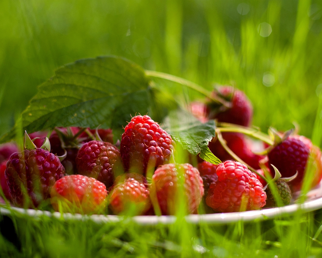 Fresh raspberry for 1280 x 1024 resolution