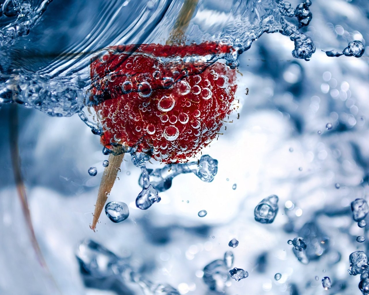 Fresh Raspberry in Water for 1280 x 1024 resolution