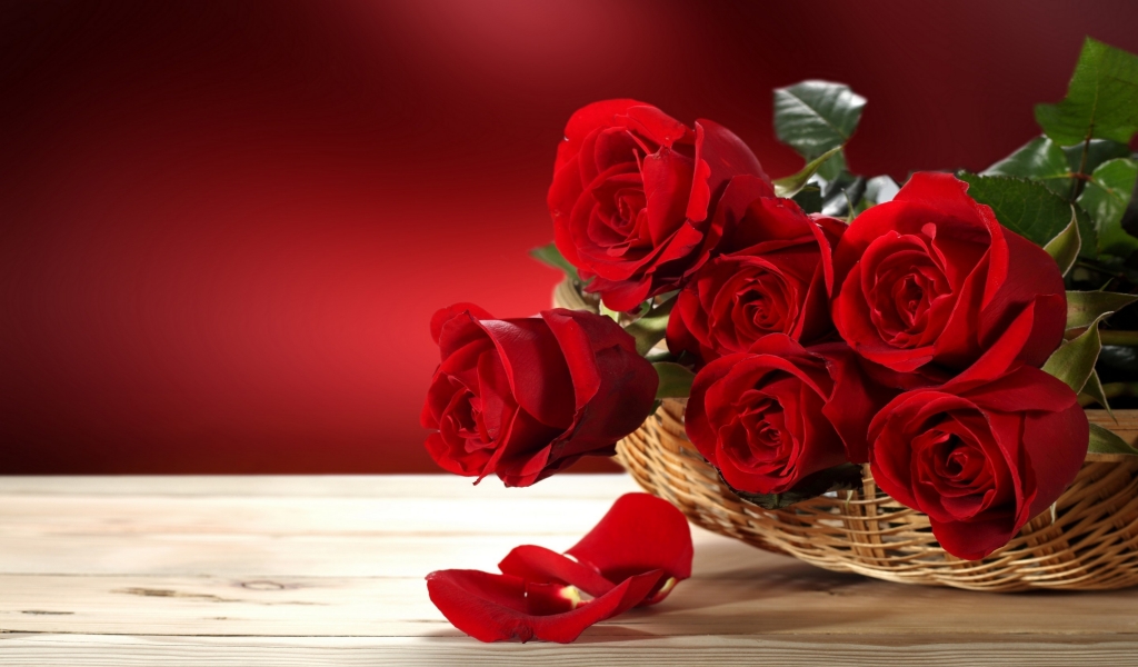 Fresh Red Roses for 1024 x 600 widescreen resolution