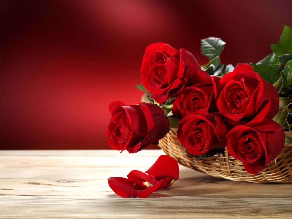 Fresh Red Roses for 1024 x 768 resolution