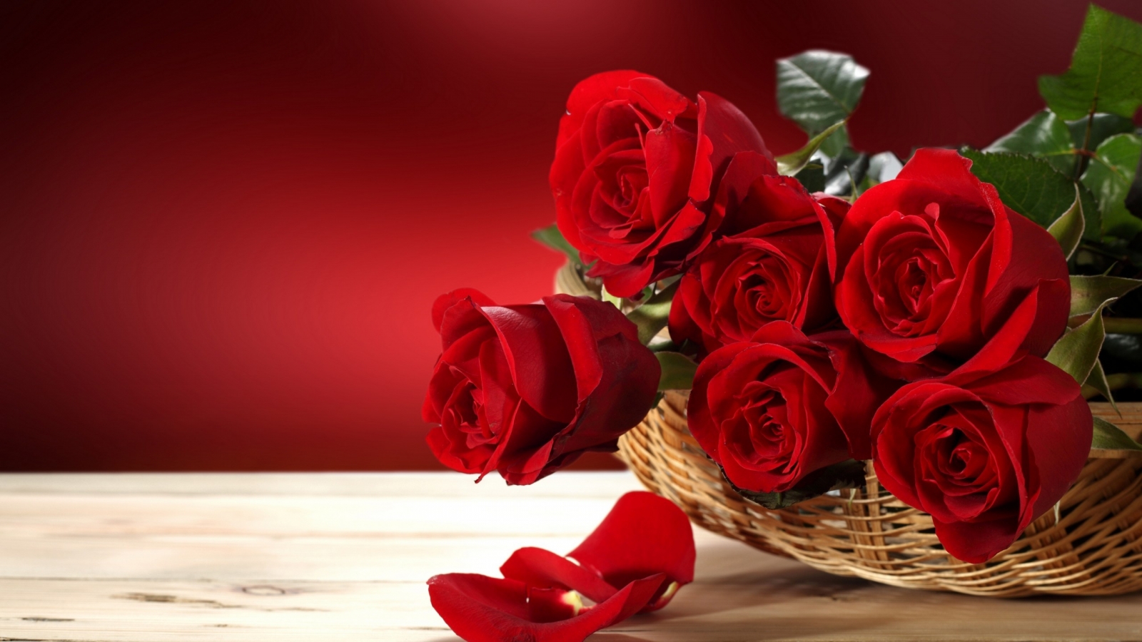 Fresh Red Roses for 1600 x 900 HDTV resolution
