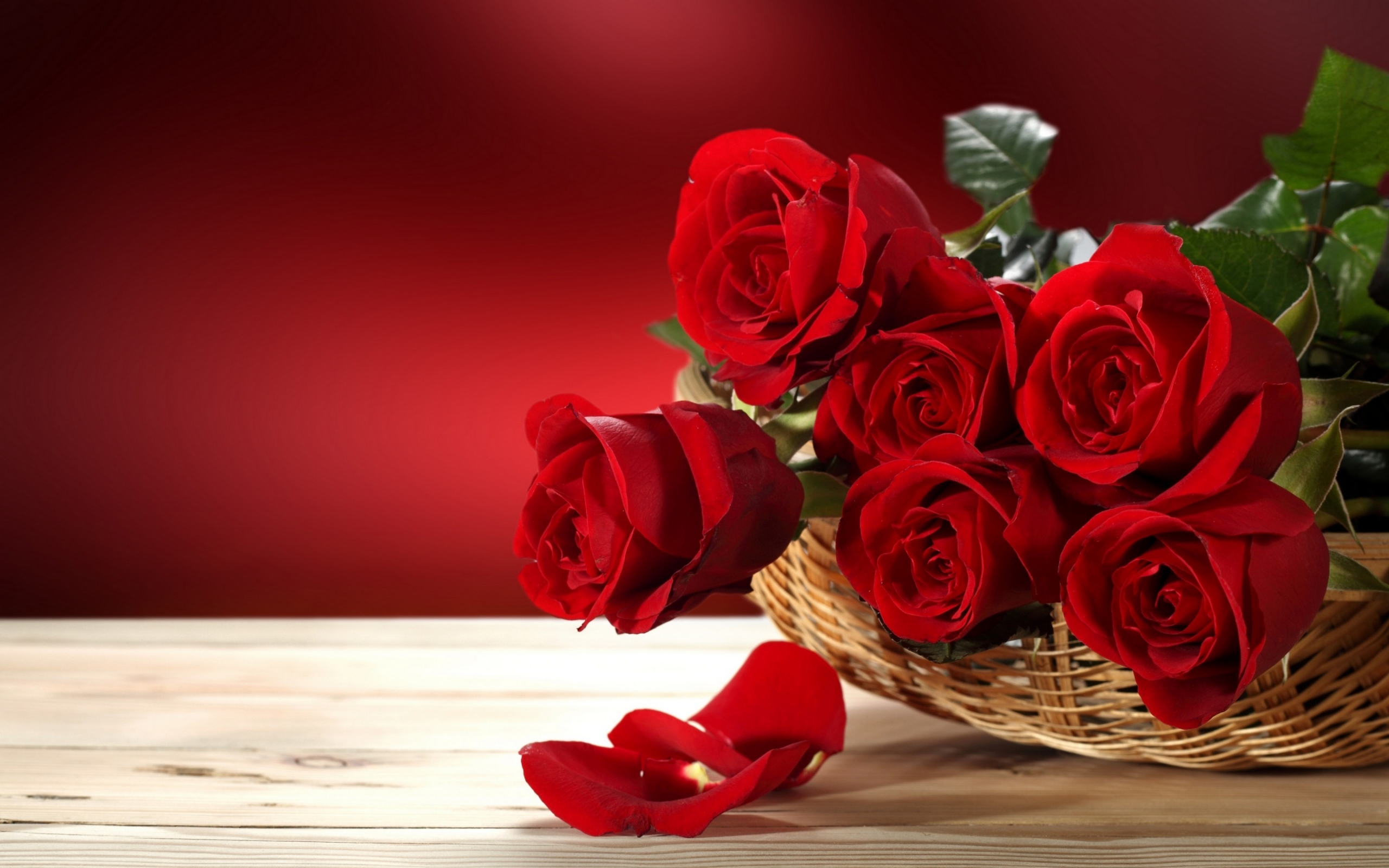Fresh Red Roses for 2560 x 1600 widescreen resolution
