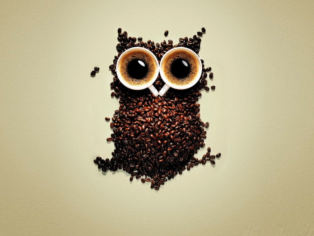 Funny Coffee Owl for 1024 x 768 resolution