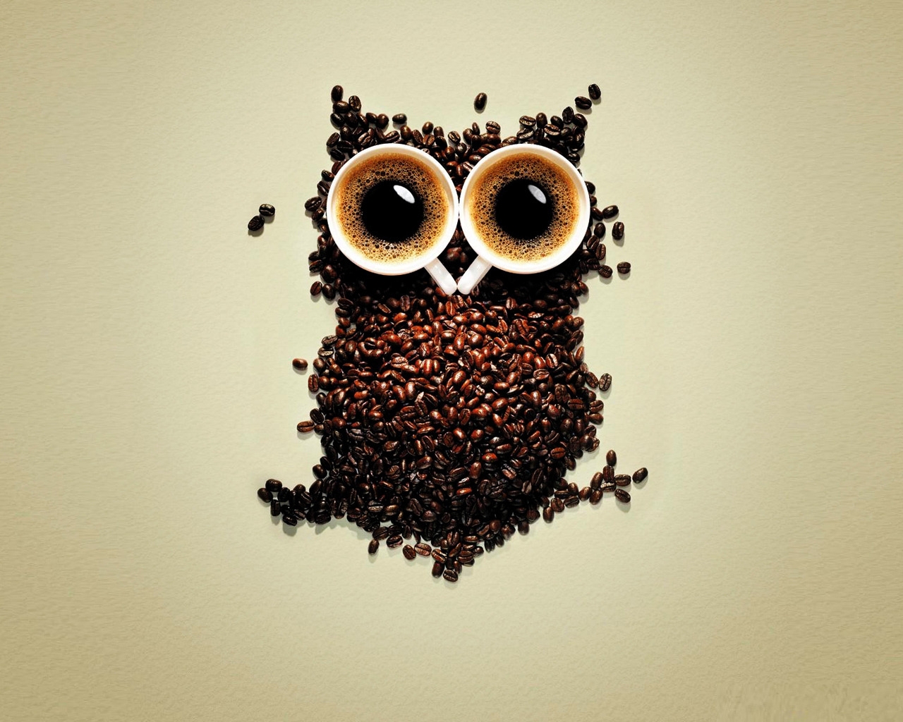 Funny Coffee Owl for 1280 x 1024 resolution