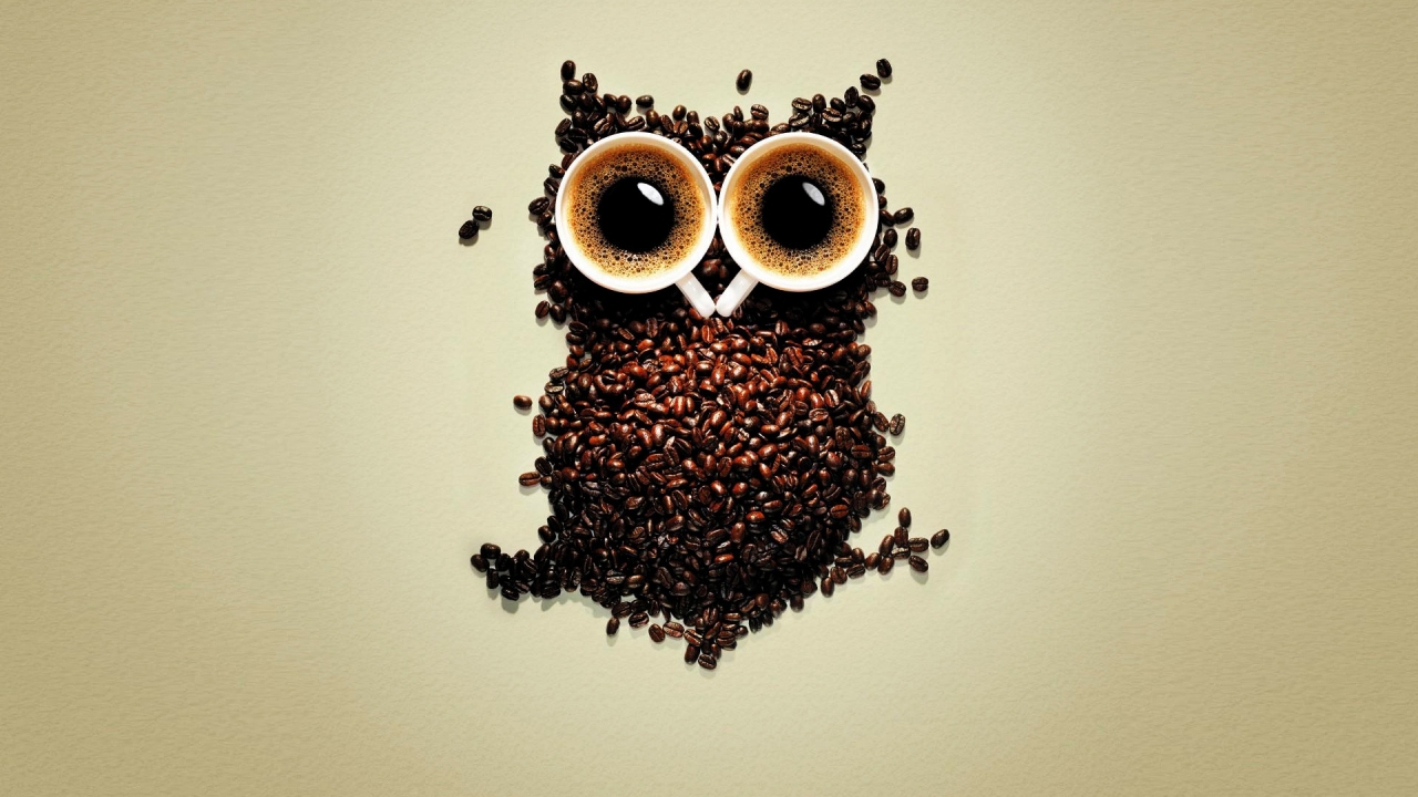 Funny Coffee Owl for 1280 x 720 HDTV 720p resolution