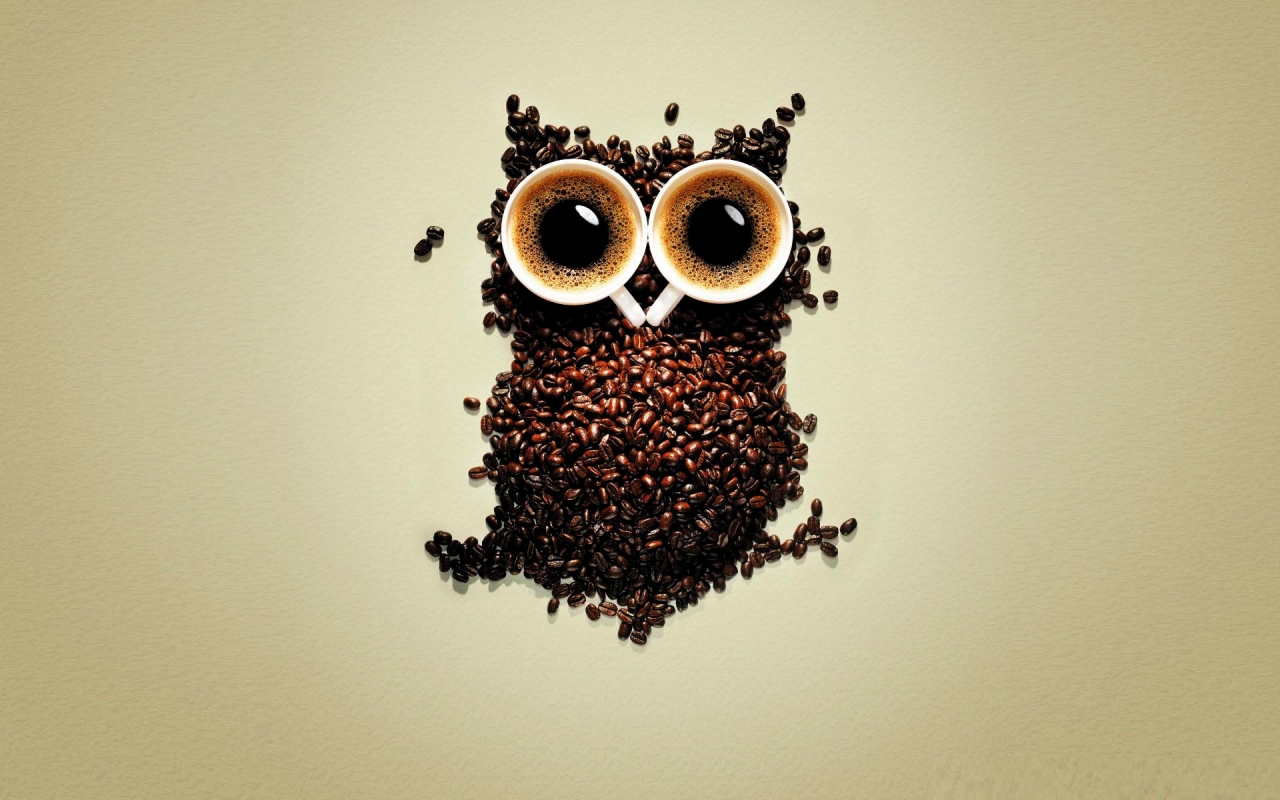 Funny Coffee Owl for 1280 x 800 widescreen resolution