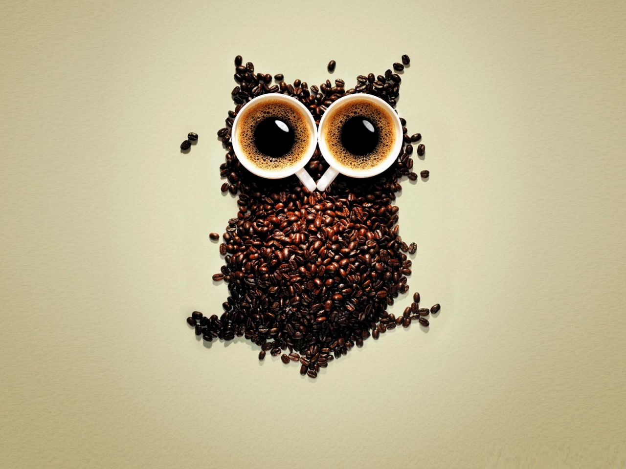 Funny Coffee Owl for 1280 x 960 resolution
