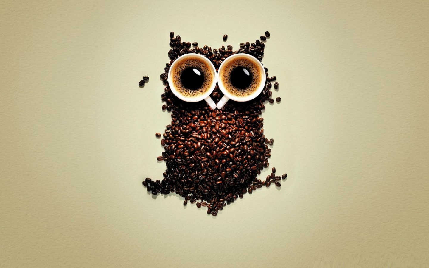 Funny Coffee Owl for 1440 x 900 widescreen resolution