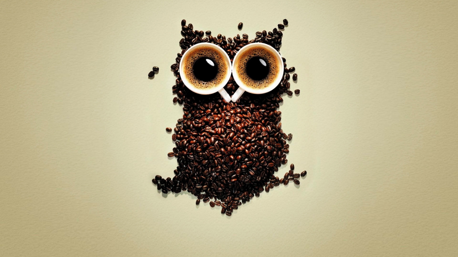 Funny Coffee Owl for 1536 x 864 HDTV resolution