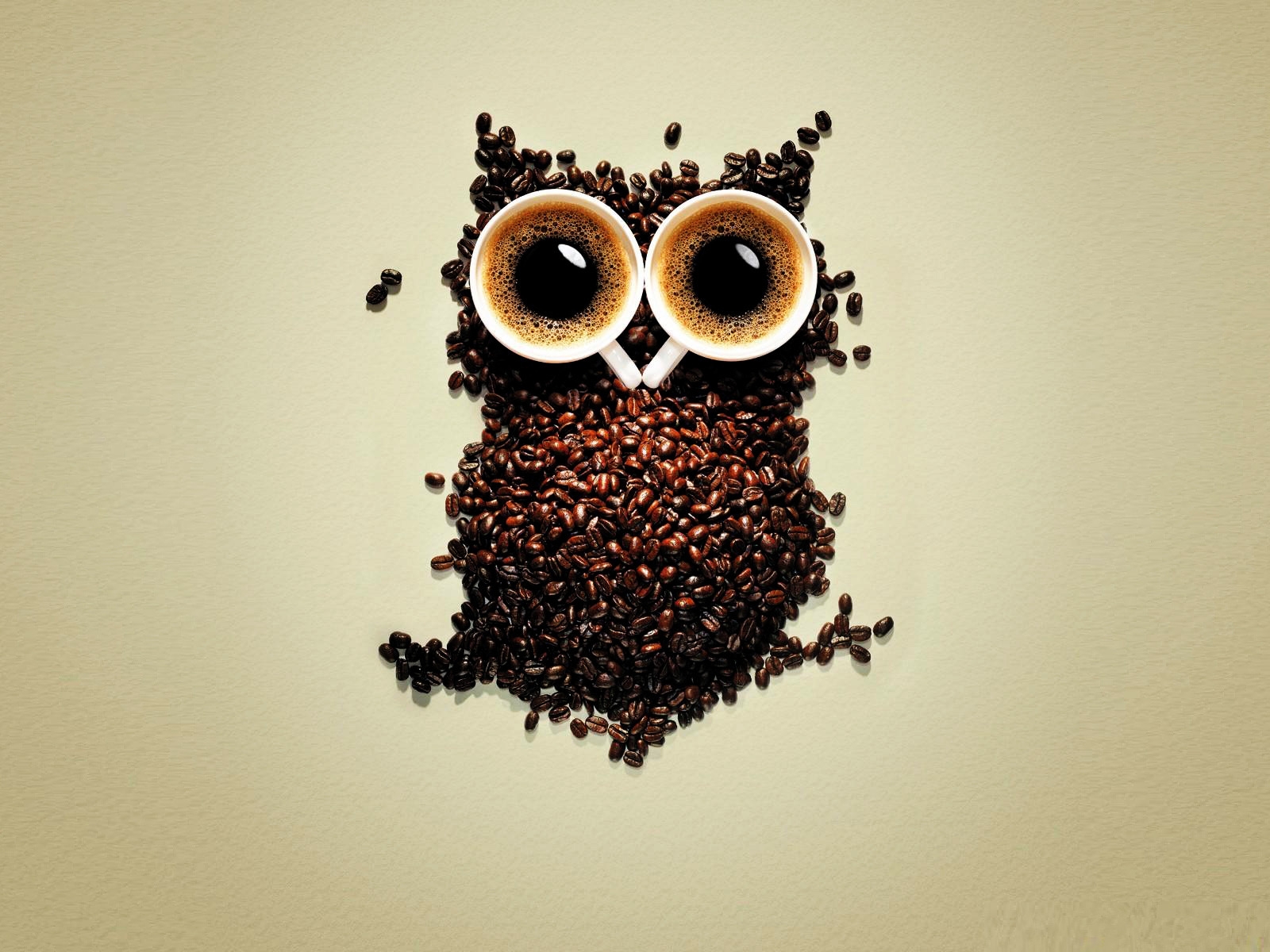 Funny Coffee Owl for 1600 x 1200 resolution