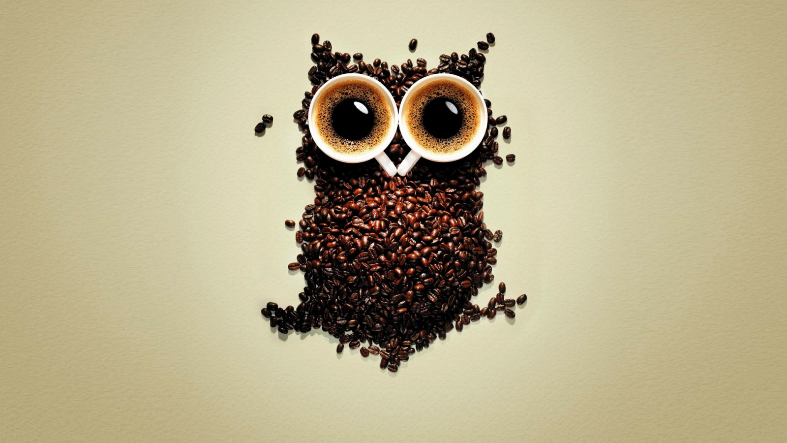 Funny Coffee Owl for 1600 x 900 HDTV resolution