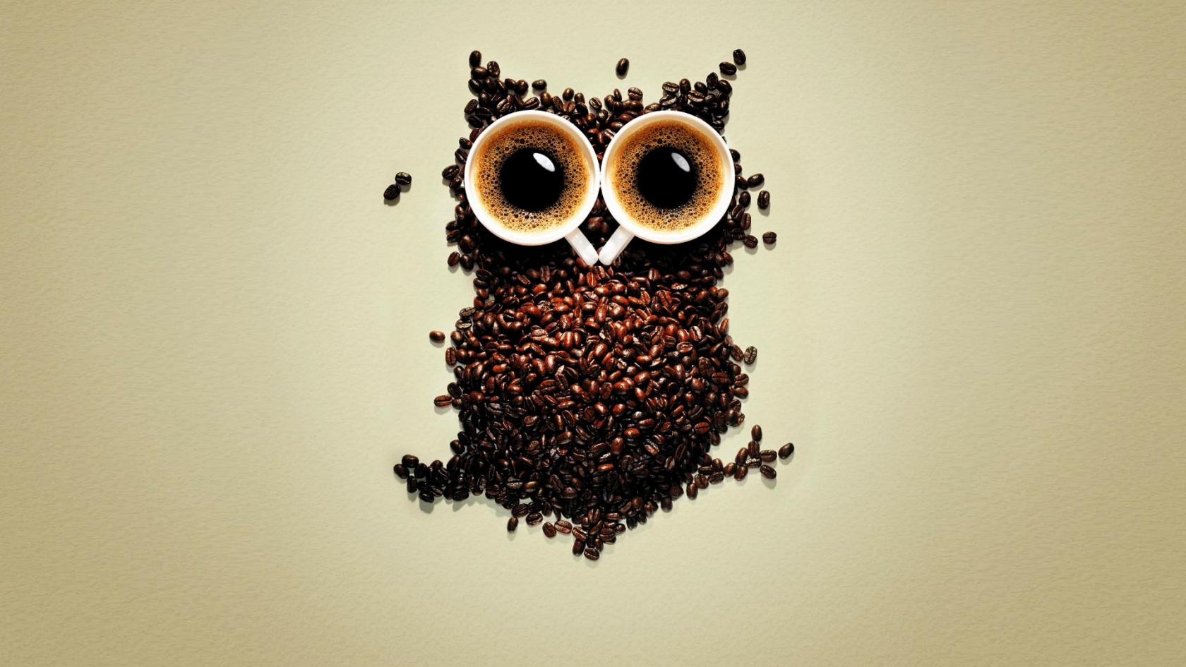 Funny Coffee Owl for 1680 x 945 HDTV resolution