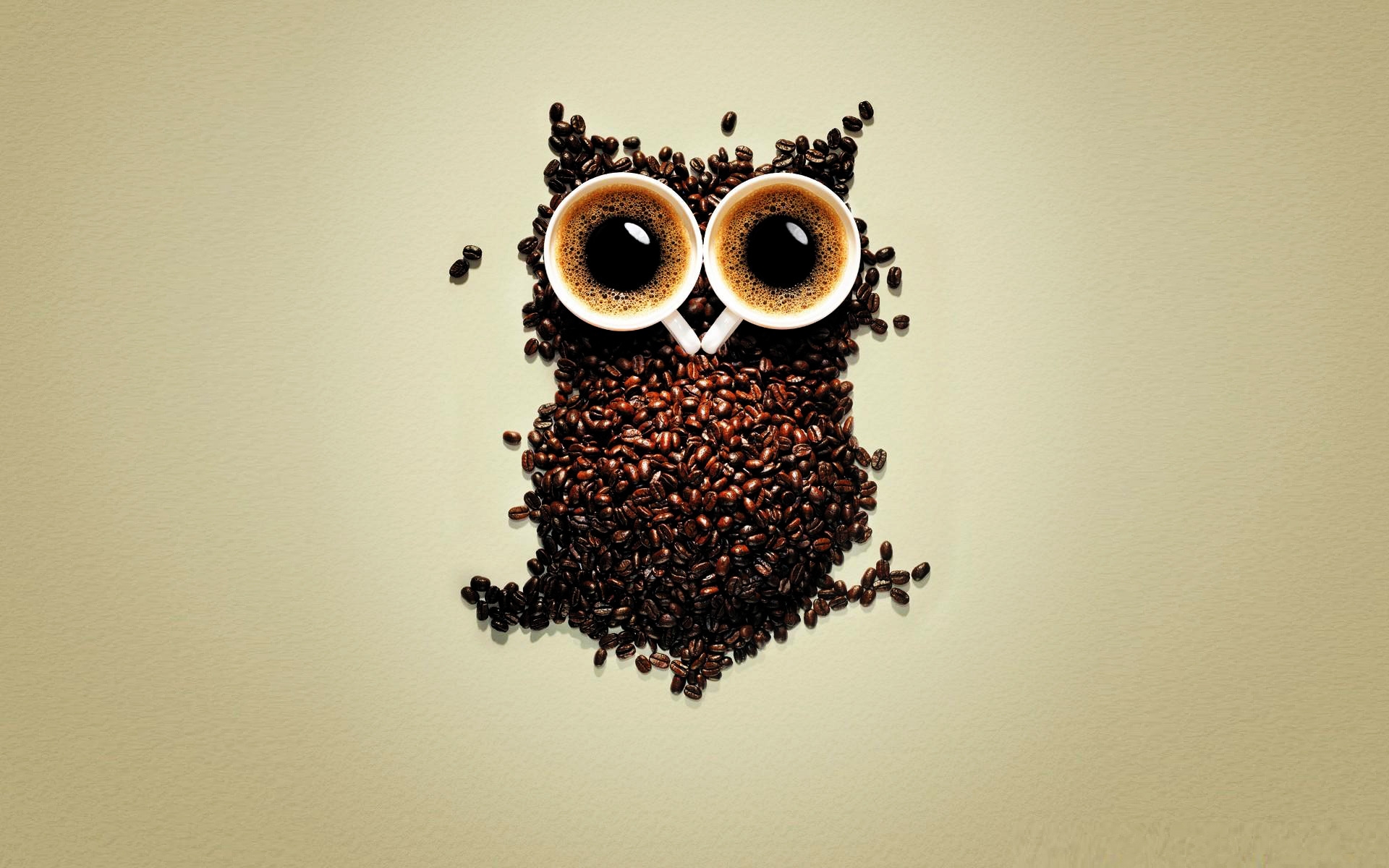 Funny Coffee Owl for 1920 x 1200 widescreen resolution