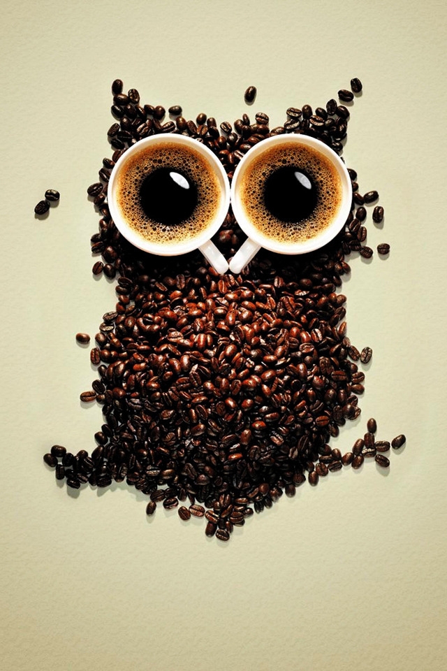 Funny Coffee Owl for 640 x 960 iPhone 4 resolution