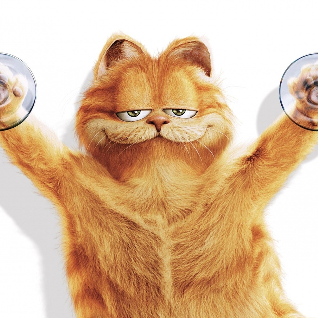 Garfield for 1024 x 1024 iPad resolution