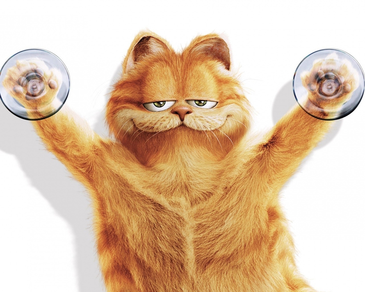 Garfield for 1280 x 1024 resolution