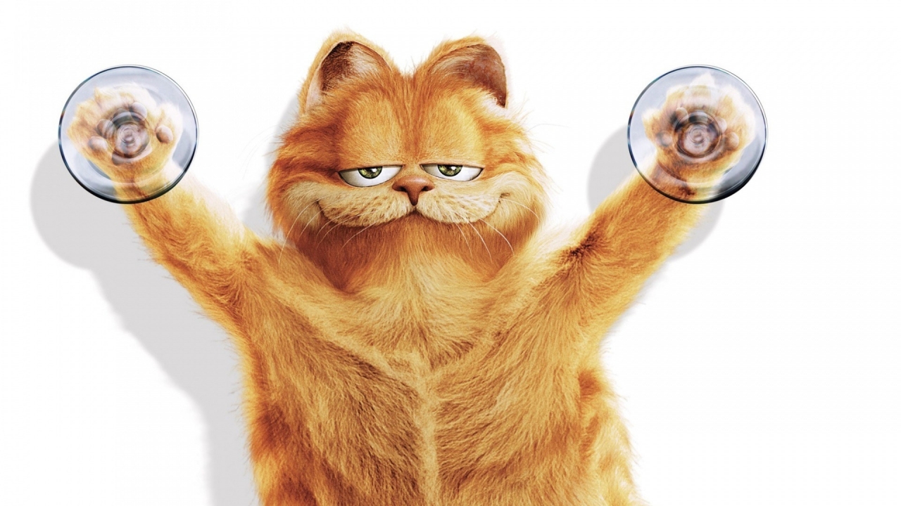 Garfield for 1280 x 720 HDTV 720p resolution