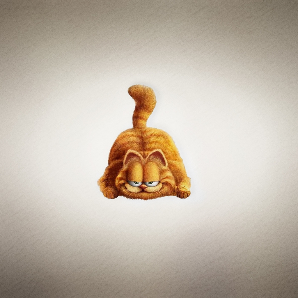Garfield The Cat for 1024 x 1024 iPad resolution