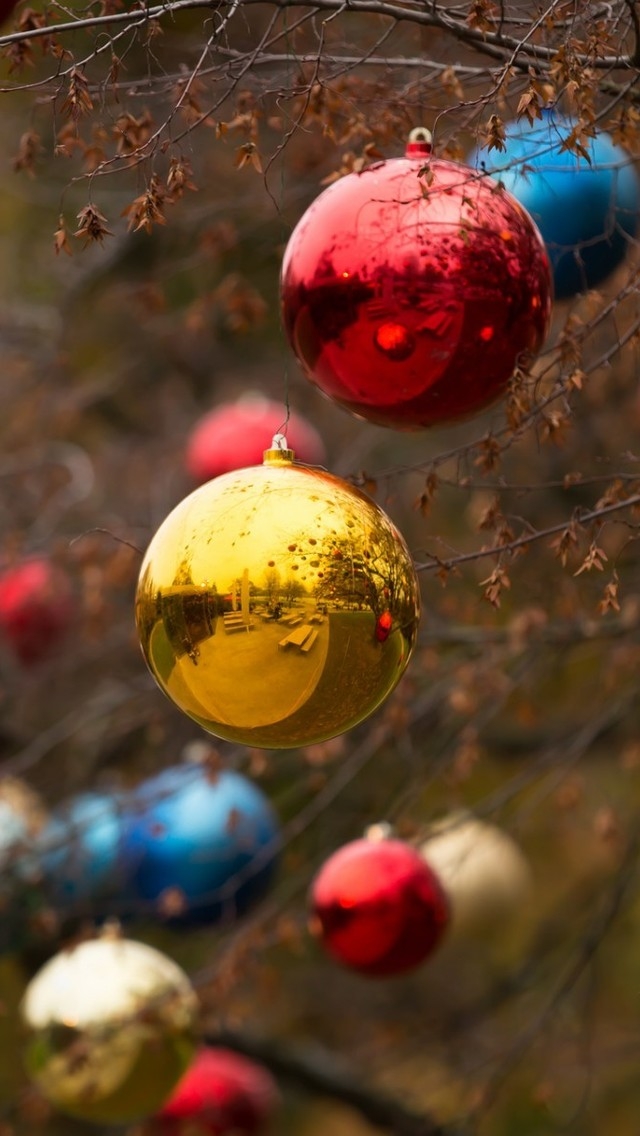 Globes on the Tree for 640 x 1136 iPhone 5 resolution