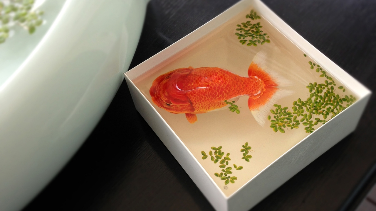 Gold Fish for 1280 x 720 HDTV 720p resolution