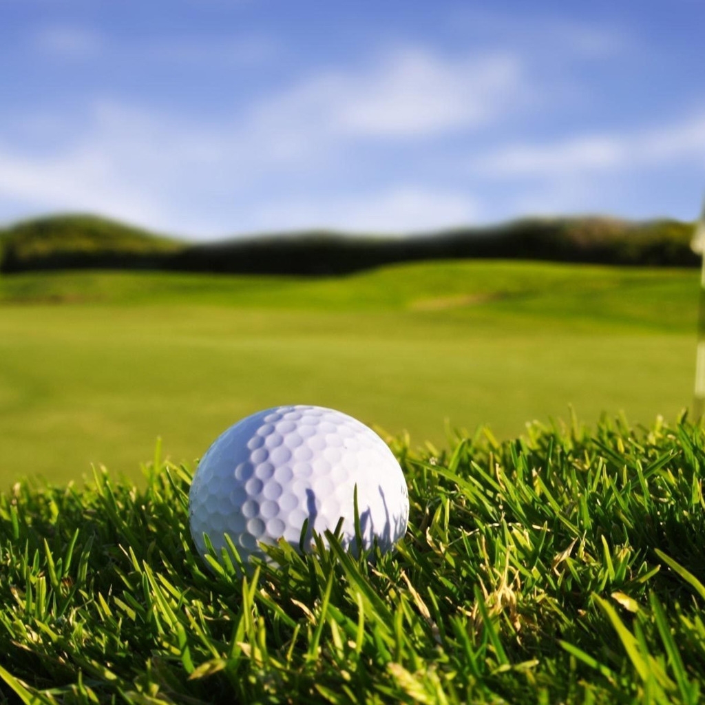 Golf Ball for 1024 x 1024 iPad resolution