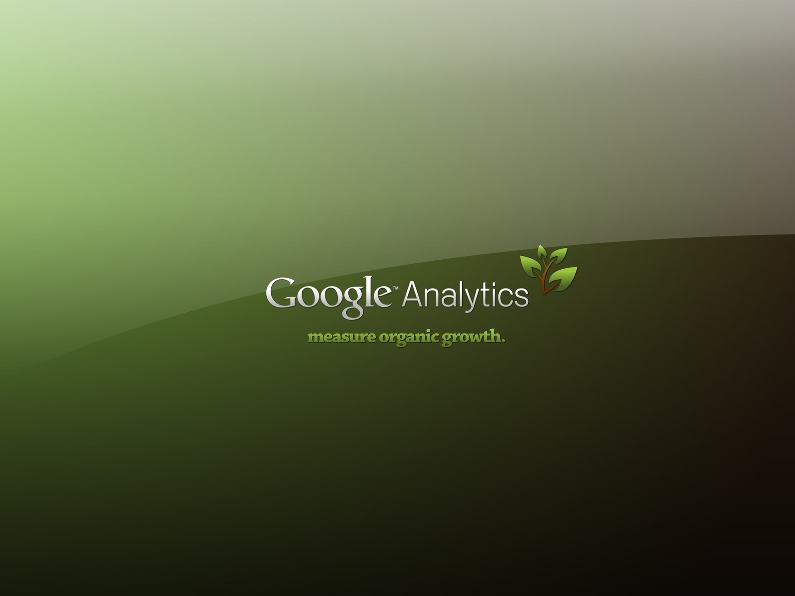 Google Analytics Poster for 1600 x 1200 resolution