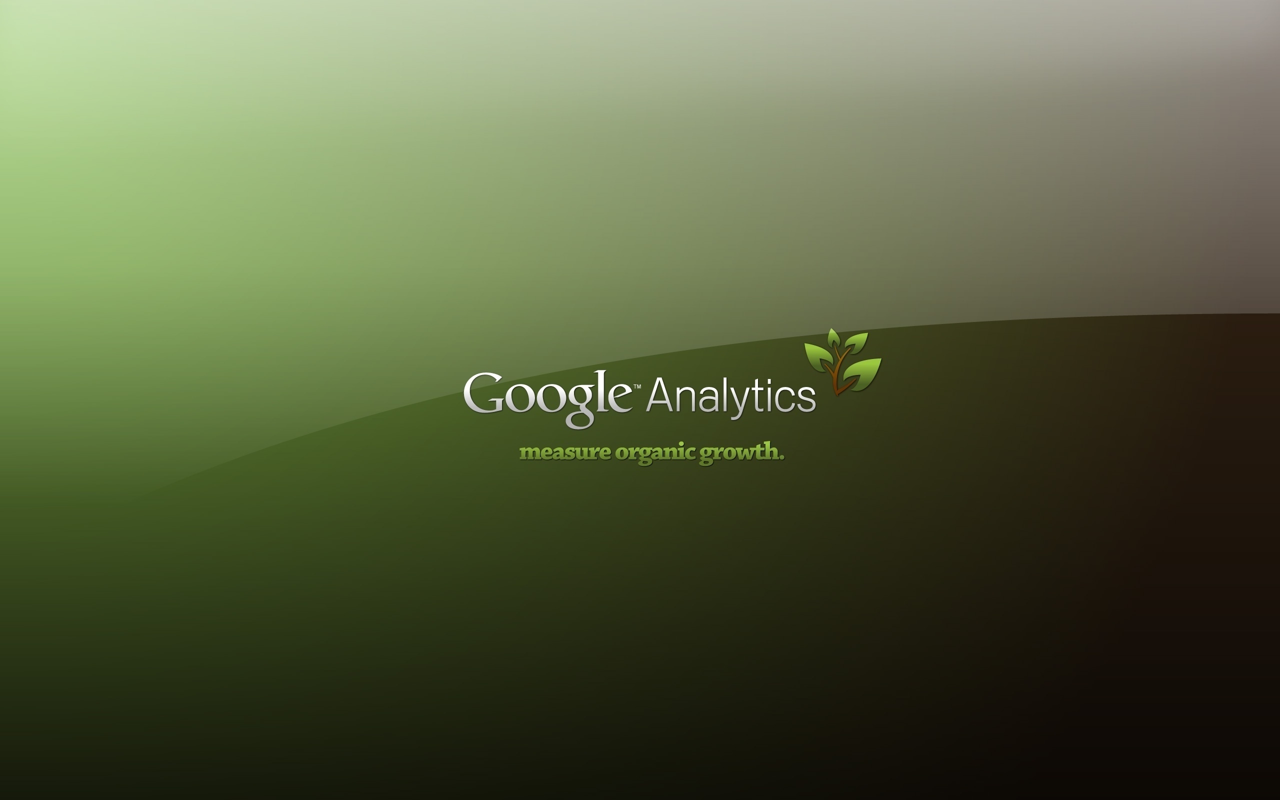 Google Analytics Poster for 2560 x 1600 widescreen resolution