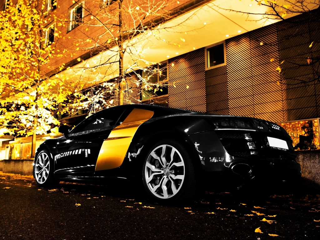 Gorgeous Audi R8 for 1024 x 768 resolution