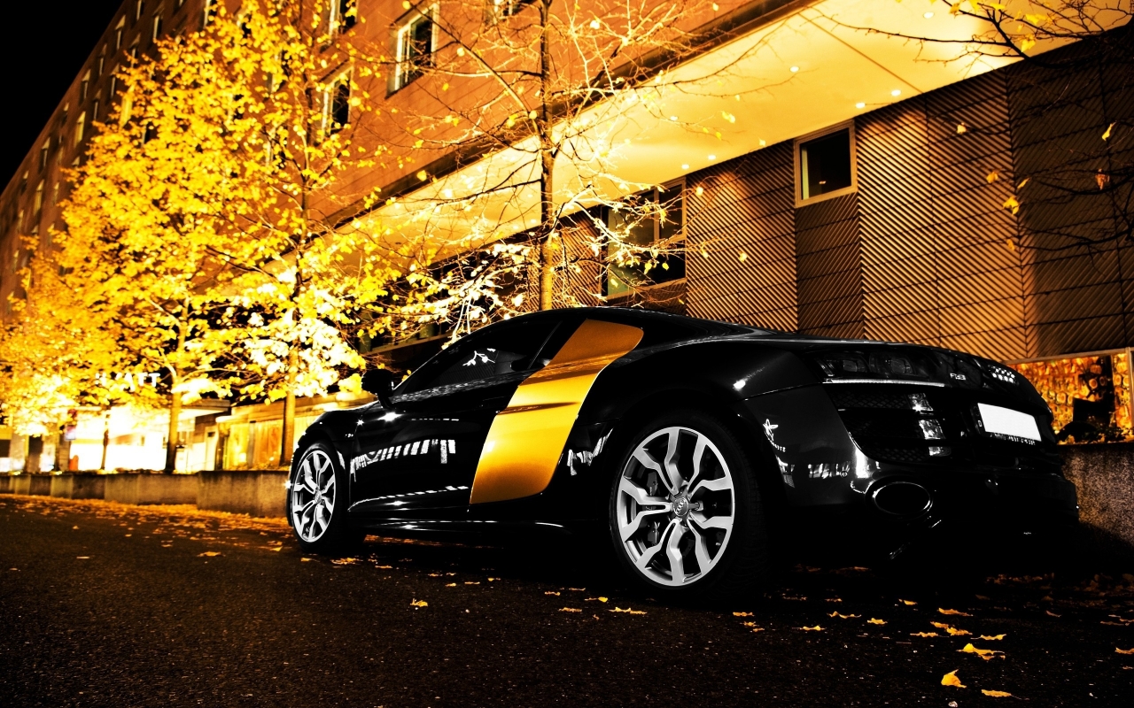 Gorgeous Audi R8 for 1280 x 800 widescreen resolution
