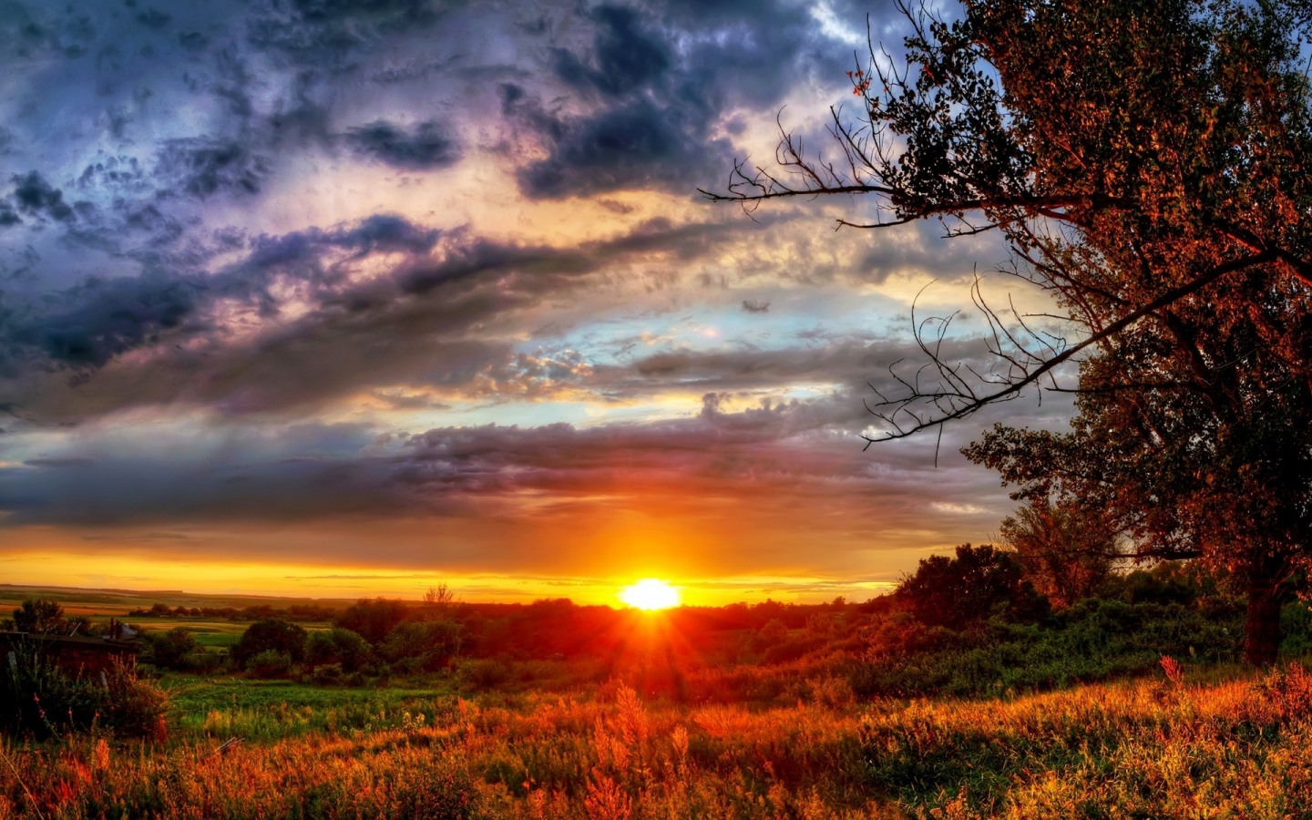 Gorgeous Autumn Sunset for 1440 x 900 widescreen resolution