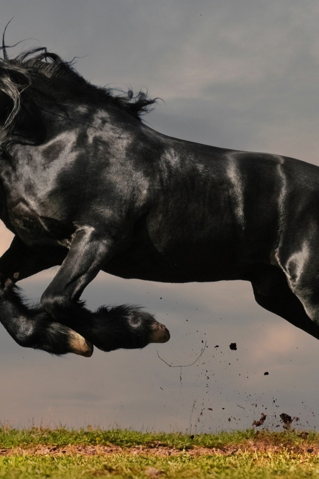 Gorgeous Black Horse for 640 x 960 iPhone 4 resolution