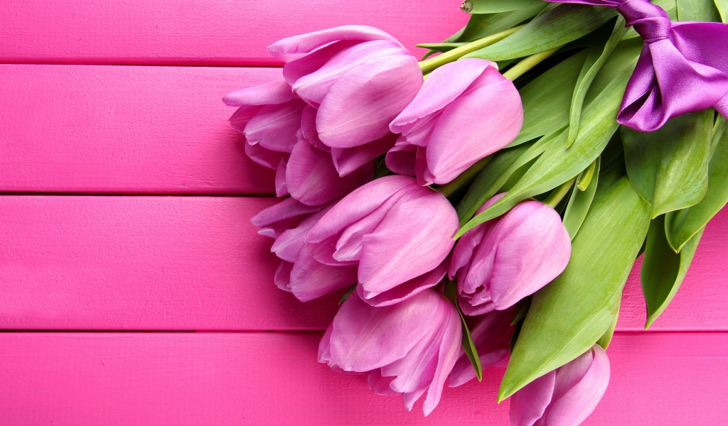 Gorgeous Pink Tulips for 1024 x 600 widescreen resolution