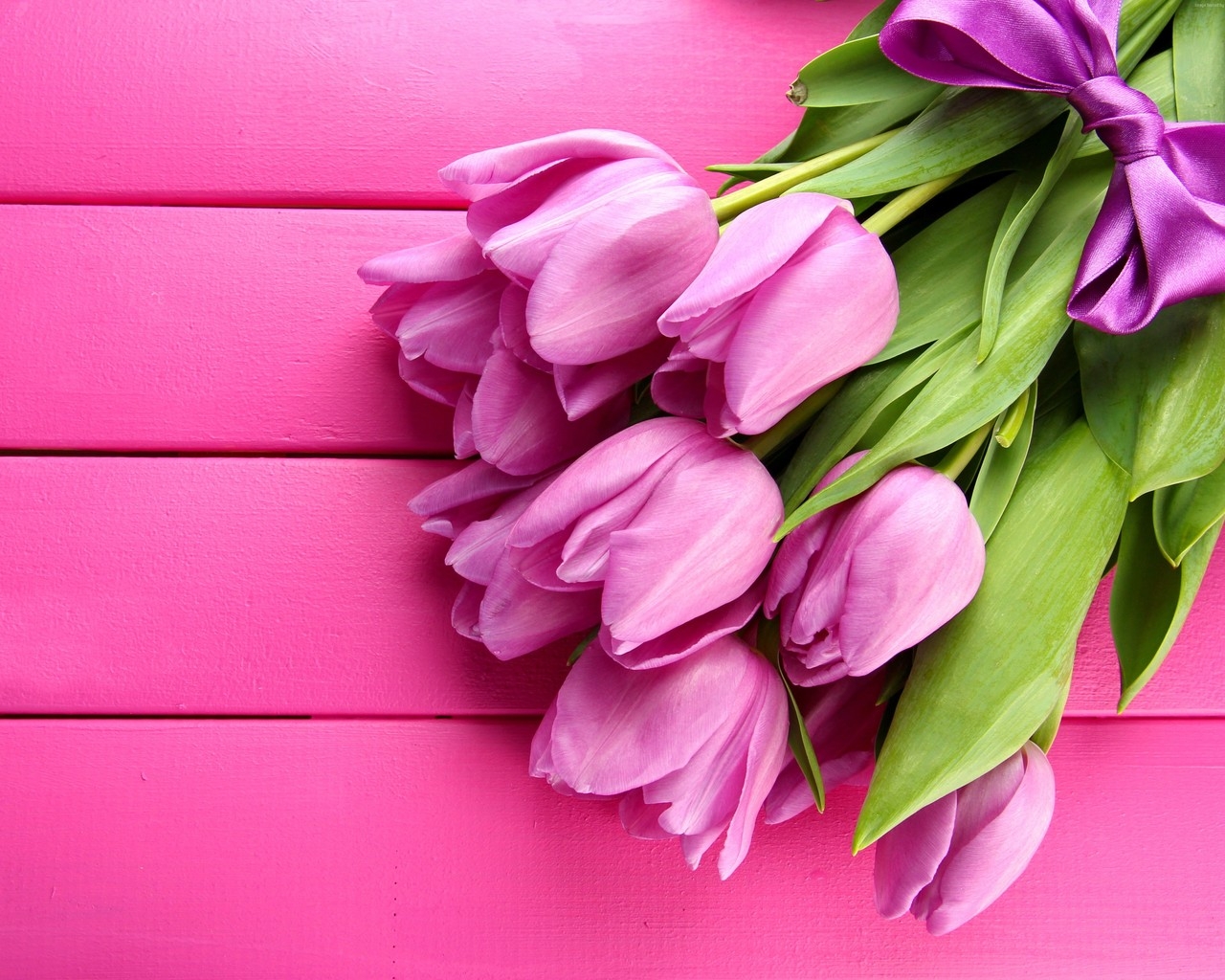 Gorgeous Pink Tulips for 1280 x 1024 resolution