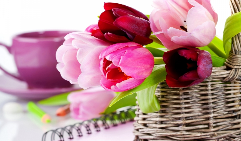 Gorgeous Tulips Basket for 1024 x 600 widescreen resolution