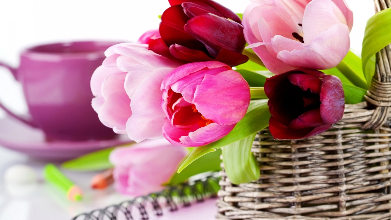 Gorgeous Tulips Basket for 1280 x 720 HDTV 720p resolution