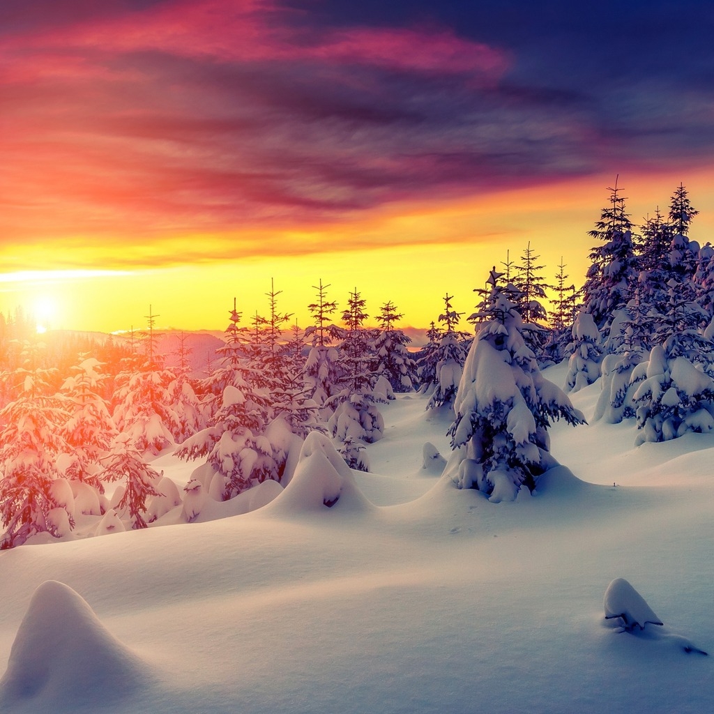 Gorgeous Winter Sunrise for 1024 x 1024 iPad resolution