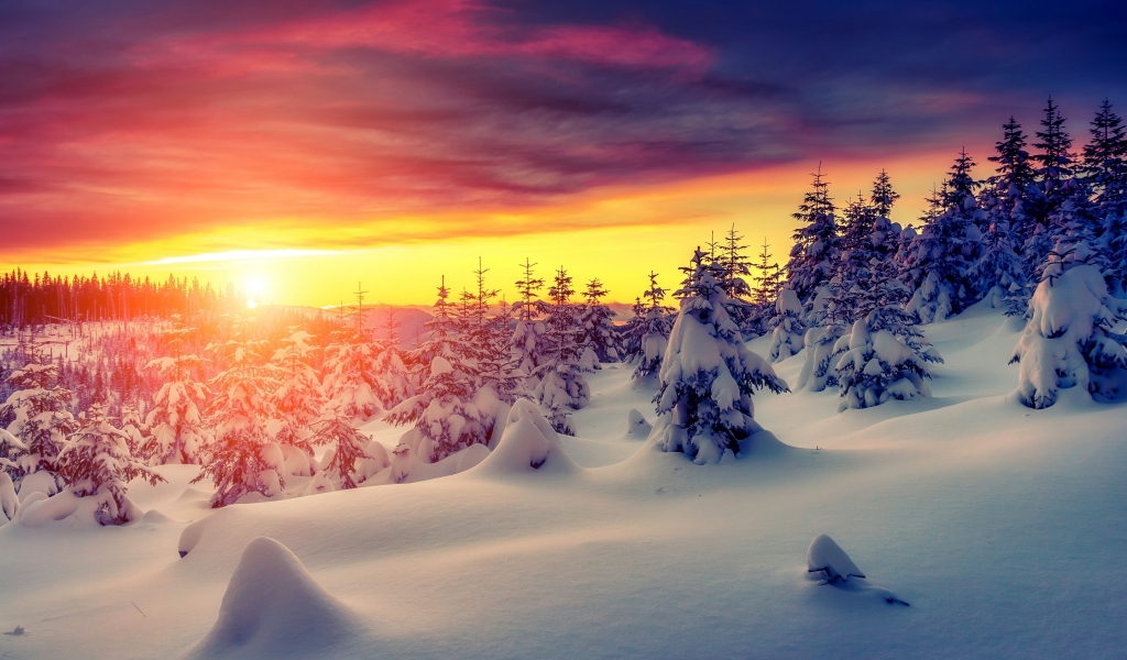 Gorgeous Winter Sunrise for 1024 x 600 widescreen resolution