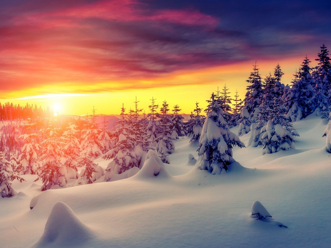 Gorgeous Winter Sunrise for 1152 x 864 resolution
