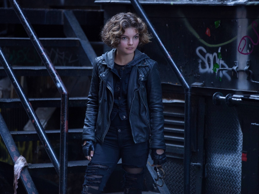 Gotham Selina Kyle for 1024 x 768 resolution