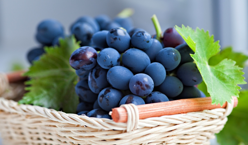 Grapes Basket for 1024 x 600 widescreen resolution