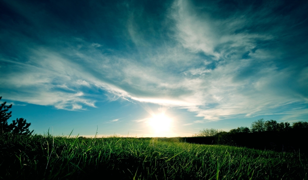 Grassy Sunset for 1024 x 600 widescreen resolution