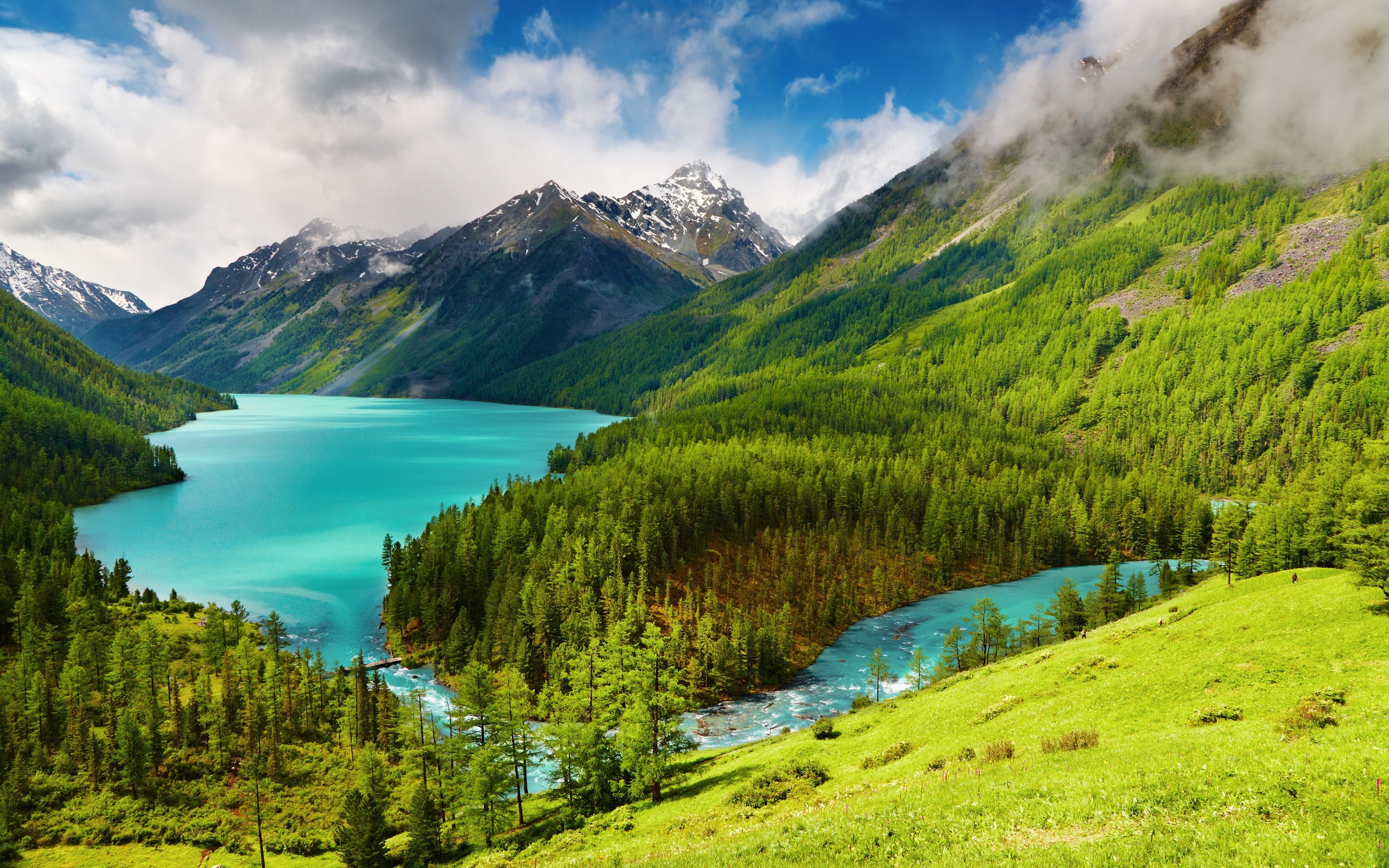Great Nature Landscape for 2560 x 1600 widescreen resolution