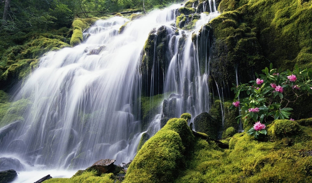 Great Waterfall for 1024 x 600 widescreen resolution