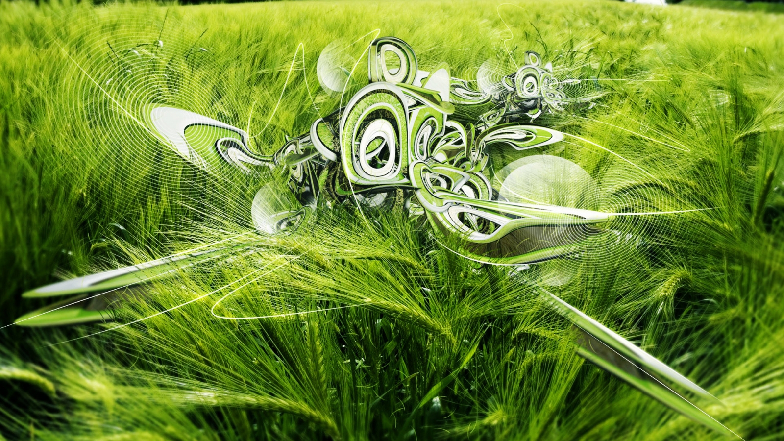 Green 3D Wheat for 1600 x 900 HDTV resolution