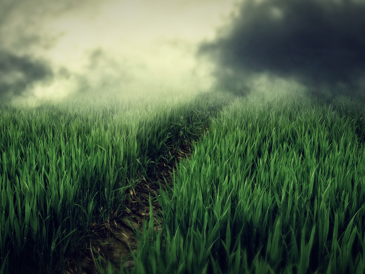 Green Field Fog for 1280 x 960 resolution