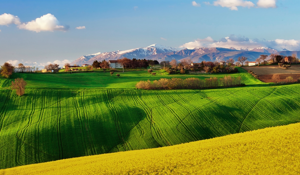 Green Field Landscape for 1024 x 600 widescreen resolution