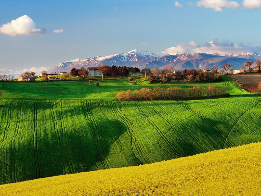 Green Field Landscape for 1024 x 768 resolution