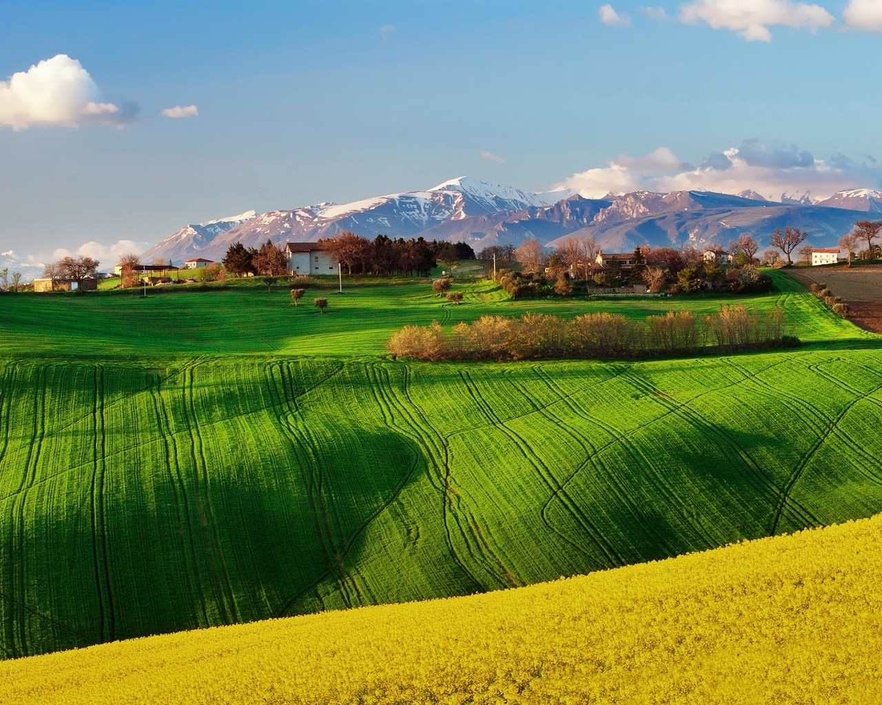 Green Field Landscape for 1280 x 1024 resolution