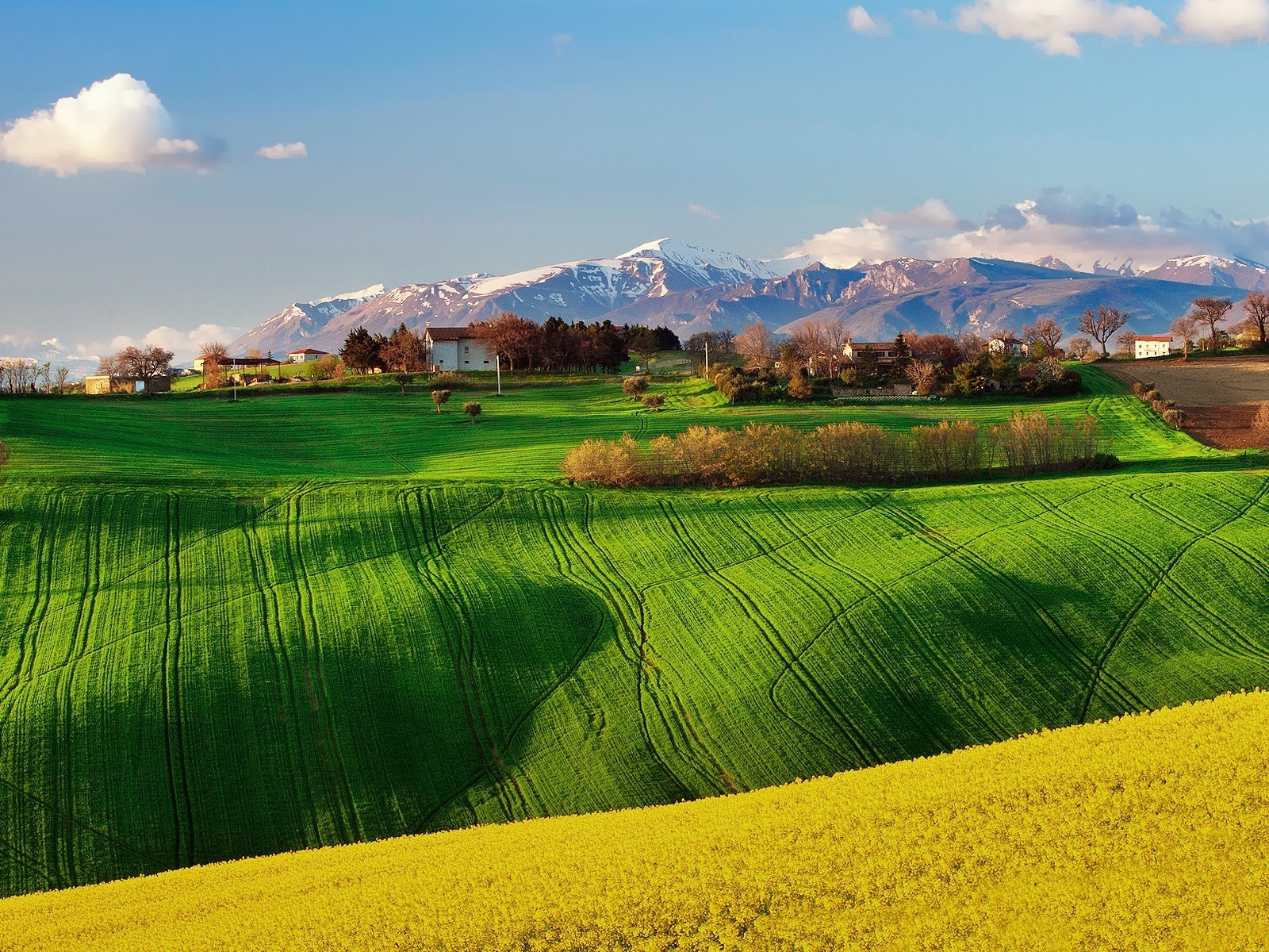Green Field Landscape for 1600 x 1200 resolution